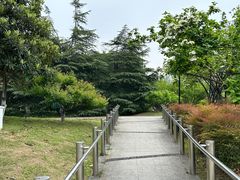 -月湖风景区