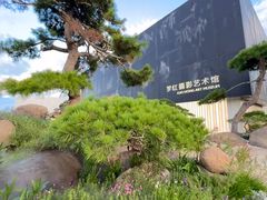 -罗红摄影艺术馆