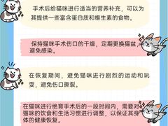 -立德动物医院·异宠·CT·鹦鹉(天河店)