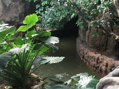 -龙达温泉生态城