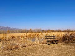 -野鸭湖国家湿地公园