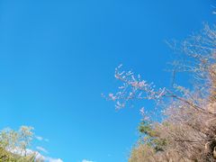 -泸沽湖里格半岛