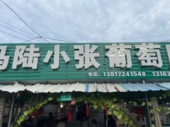 -马陆小张葡萄园农家乐