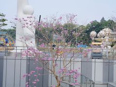 -东莞松山湖万象汇