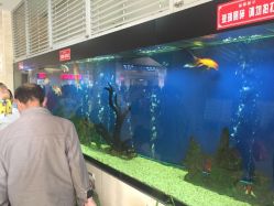 -西安市儿童医院门诊