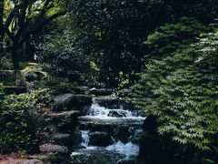 -中国茶叶博物馆(双峰馆区)