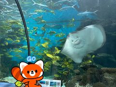 -福州罗源湾海洋世界旅游区