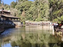 -云南屏边大围山国家公园