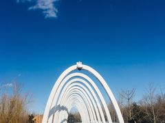 -大兴滨河森林公园