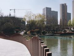-青枫公园