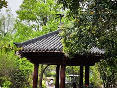 -武汉园博园(武汉自然博物馆)