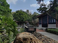 -顺峰山公园