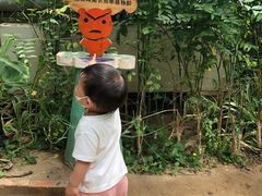-呀路古热带植物园