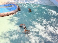 -青藏高原野生动物园