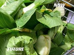 -亚马逊海鲜自助(梅溪湖步步高店)