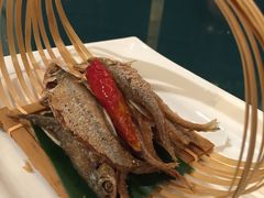 -十八棵（老龙井）御茶园(老龙井店)
