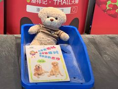 -丽江三义国际机场