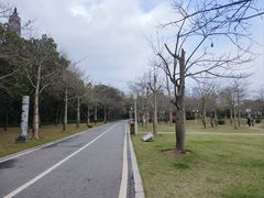 -顺峰山公园