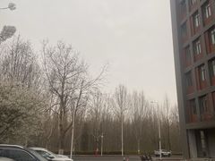 -河南财经政法大学(郑东校区)