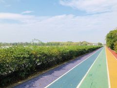 -贡湖湾湿地公园