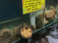 -蚝专家(北滘店)
