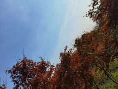 -南京市江宁方山
