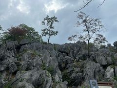 -千岛湖石林