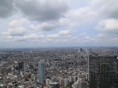 -东京都厅舍