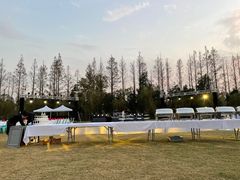 -前小桔亲子创意农场·草莓采摘·露营烧烤