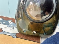 -纳吉亚猫专科动物诊疗中心(蒋宅口分院)