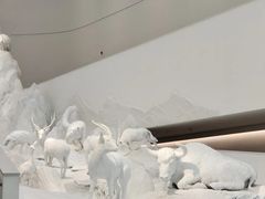 -中国湿地博物馆