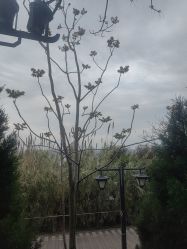 -晴川假日酒店·宴会厅·会议厅