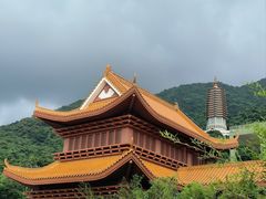 -深圳仙湖植物园