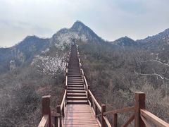 -大岭沟猕猴桃谷风景区