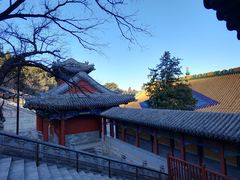 -香山公园