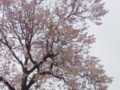 -成都市文化公园