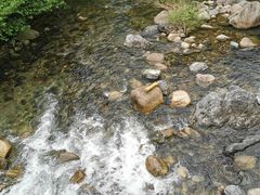 -石台牯牛降景区