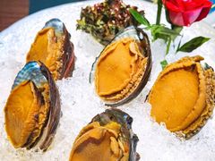手工冰镇鲍鱼-木棉·醉心粤味(COCO Park店)