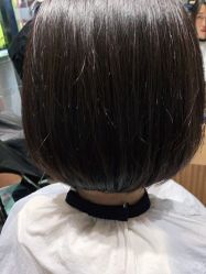 -京世沙龙