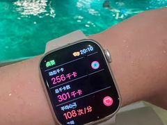 -丽思卡尔顿酒店泳池(金融街店)