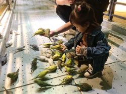 -酷嗒动物文化乐园(cutezoo西溪乐天城店)