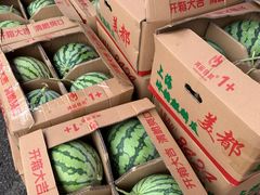 -双福水果批发市场