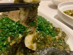 烧椒鲈鱼-尘香•传统川菜(创汇首座店)