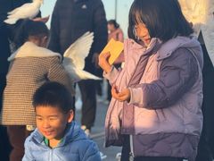 -天津妈祖文化园