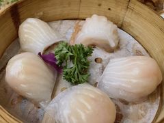 招牌虾饺皇-江南村酒家