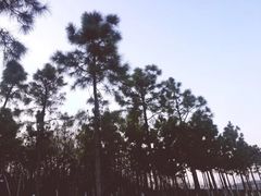 -钟山体育运动公园
