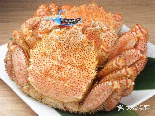 日本寿司探店—寿司光琳 [寿司]