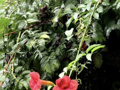 -河南省黄河迎宾馆