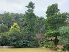-云溪植物园
