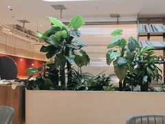 -悦海·家宴·冰花皮皮虾大锅贴(宝龙店)